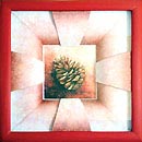 Pomme de pin
