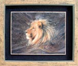 Le lion